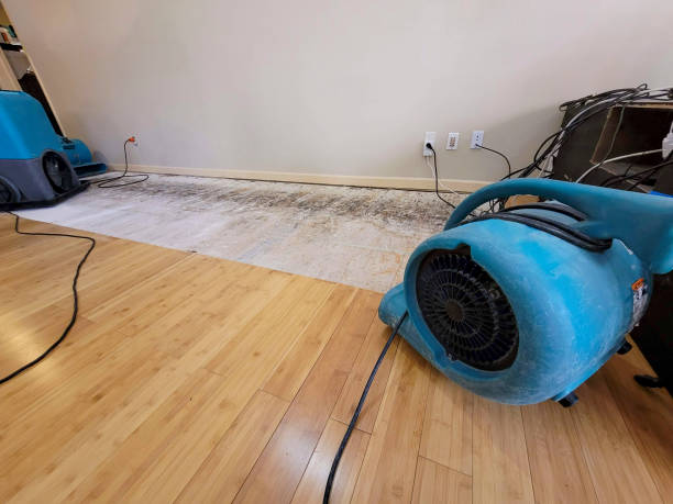 Professional Ceiling Water Damage Repair technician working in Darien, IL